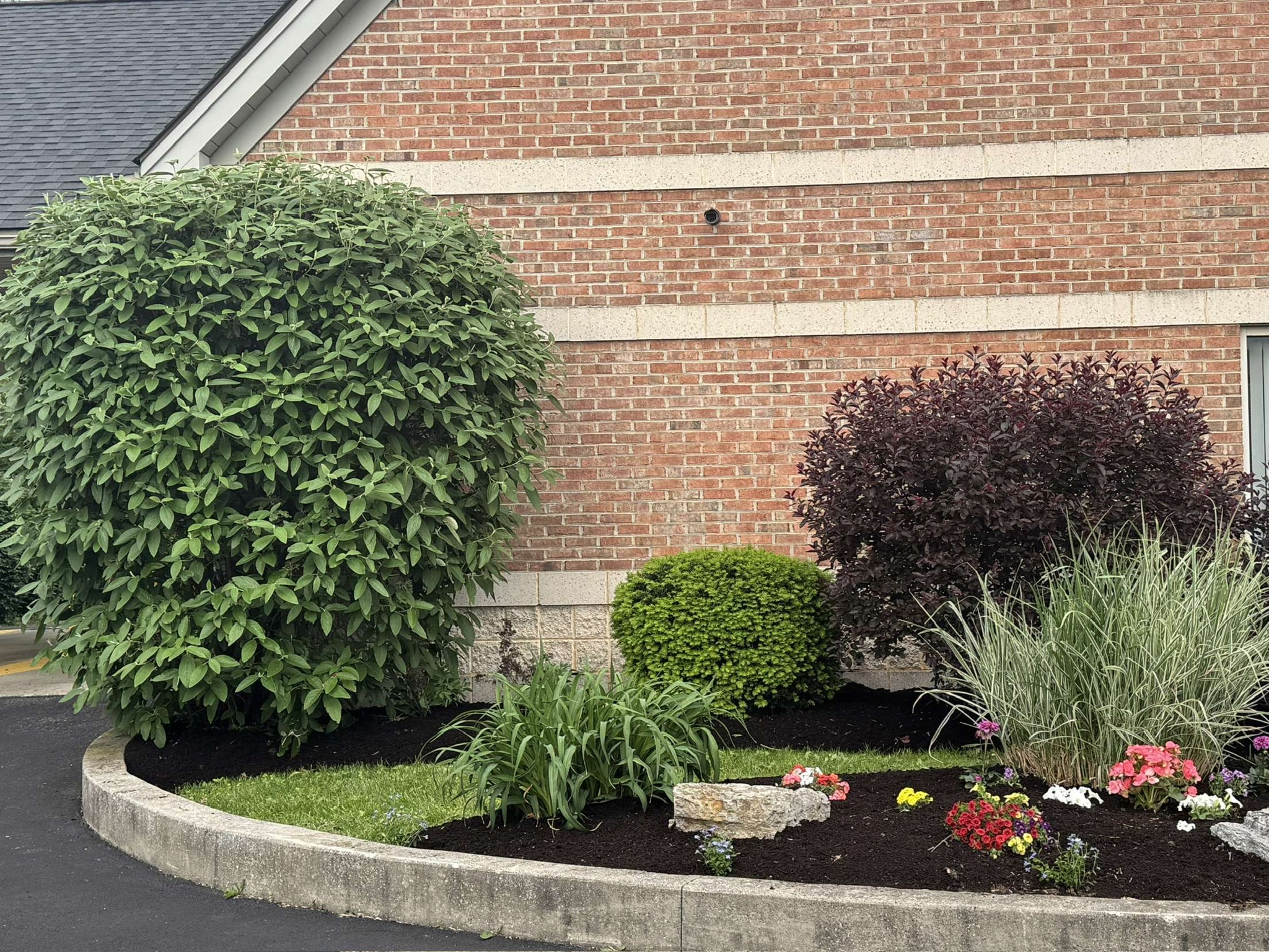 Front Yard Renovation